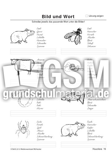 BuW Haustiere19.pdf